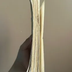 Số Phận Lịch Sử Của Chủ Nghĩa Hiện Thực - Bôrix Xuskov 731620