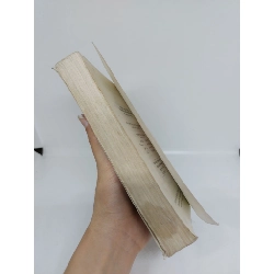 Trong cung nhà Hán Triệu Phi Yến mới 80% 1999 HCM.ANTQ1409 780406