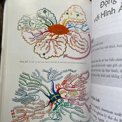 Sơ đồ tư duy- Tony Buzan  603182