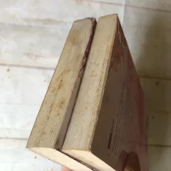 Từng Thề Ước - Đồng Hoa 738814