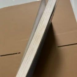 Giáo trình xã hội học về giới 622471