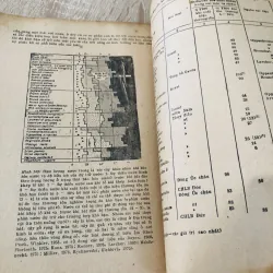 SINH THÁI HỌC THỰC VẬT 956979