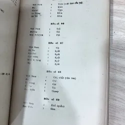 Nguồn gốc Mã Lai của dân tộc Việt Nam - Bình Nguyên Lộc 749116