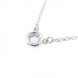 Dây chuyền Tiffany By The Yard - Hàng hiệu Chính hãng 841689