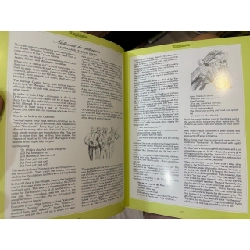 Kopiaste - Amaranth Sitas 998433