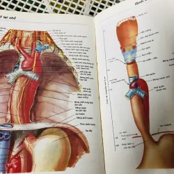 ATLAS GIẢI PHẪU NGƯỜI 1997 799114