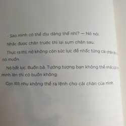 Sách 100 Cái chân của Nguyễn Ngọc Thuần 1035287