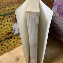ALBERT CAMUS, UN MESSAGE D'ESPOIR - Francois Chavanes 543702