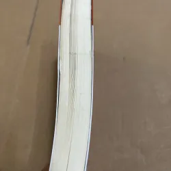 Sức Mạnh Thuyết Phục 1025430