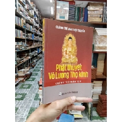 Phật thuyết vô lượng thọ kinh - Chánh Trí Mai Thọ Truyền