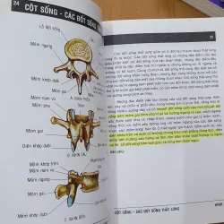 GIẢI PHẪU ĐẦU MẶT , NGỰC BỤNG, CHI TRÊN DƯỚI  760731