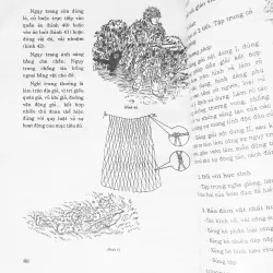 Giáo dục Quốc phòng lớp 12 xưa 575807