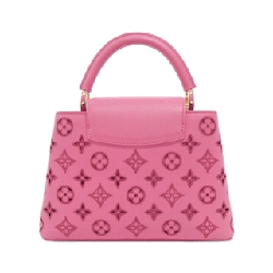 Túi xách Louis Vuitton Capucines BB 617389