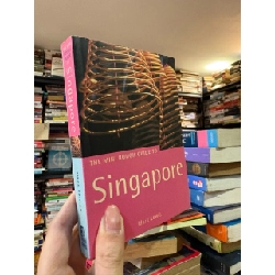 The mini rough guide to Singapore - Mark Lewis