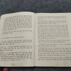 NHẬP MÔN DỰ ĐOÁN THEO TỨ TRỤ 936834