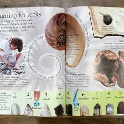 DK Eyewonder Series - Rocks and Minerals 730869