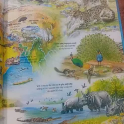 Atlas Môi Trường Sống Của Các Loài Động Vật 1009866