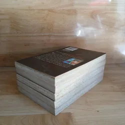 Truyện Tranh Captive Hearts (Bộ 5 Tập/Bản Tiếng Anh) - Matsuri Hino 713249