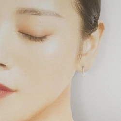 Bông tai kim cương Vandome - Hàng hiệu Authentic 844506