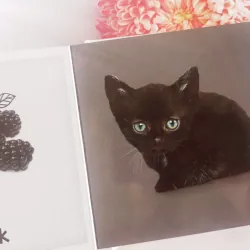 Baby's First Colours 961424