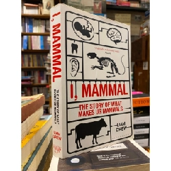 I, Mammal - Liam Drew 993845