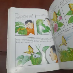 Truyện ngắn Triết lý Phật giáo bằng tranh 763066