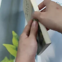 Nước Mắt Và Nụ Cười - Jean Livingston 776200