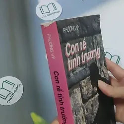 Con rể tỉnh trưởng - Phương Vỹ 695009