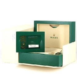 Đồng hồ Rolex Sky-Dweller 336934･5 SSxWG tự động - Hàng hiệu Authentic 882098