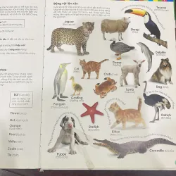 DK : My first Dictionary Cuốn từ điển đầu đời của tôi với 1000 từ - đinh tị 1027129