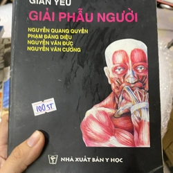 Giải phẫu người 