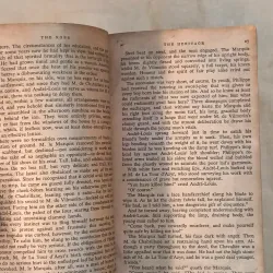 Scaramouche - Rafael Sabalini 999846