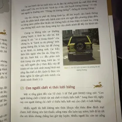 Cẩm nang dưỡng sinh thông kinh lạc  1029288