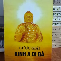 LƯỢC GIẢI KINH DI ĐÀ - thầy TUỆ HẢI 931469