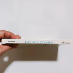 Cây Đàn Miến Điện - Takeyama Michio  795930