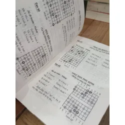 Thích tình nhã thú - Đỗ Lương Nhất 720286