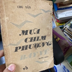 Sách Mùa chim phượng bay về