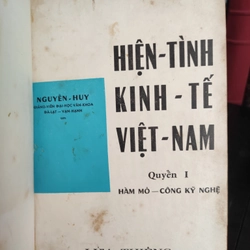 Hiện tình kinh tế Việt Nam - Gộp 2 quyển 299717