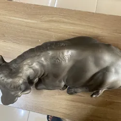 Bò, hay trâu kiem loại? 719402