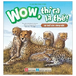 Wow, Thì Ra Là Thế! - Cơ Thể Của Động Vật - Little Newton Science Education Company Ltd