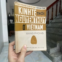 Kinh tế thời nguyên thuỷ ở Việt Nam 