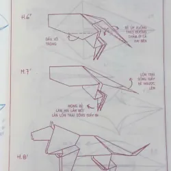 Sách xếp giấy Origami xưa hiếm không còn tái bản. 1025624