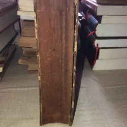 Danh từ y học 993503