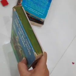 The bobbsey twins and the big rivers mystery 930936