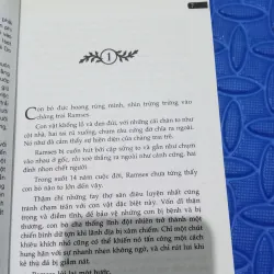 Ramses Hoàng Đế Minh Triết Ai Cập 961323