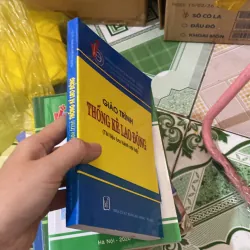 giáo trình  Thống kê Lao động 1007208