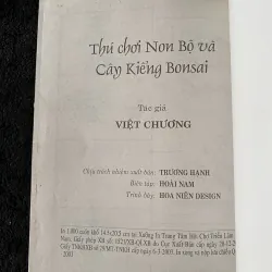 Thú chơi non bộ kiểng bonsai- Việt Chương. 1046032