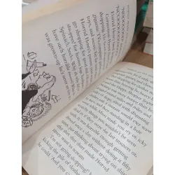 Horrid Henry and the football fiend - Francesca Simon, Tony Ross 707649