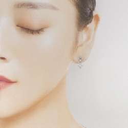 PT900 Bông tai kim cương 0.4CT - Hàng hiệu Chính hãng 872853