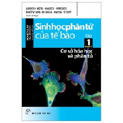 Sinh Học Phân Tử Của Tế Bào - Tập 1: Cơ Sở Hoá Học Và Phân Tử - Nhiều Tác Giả 186243